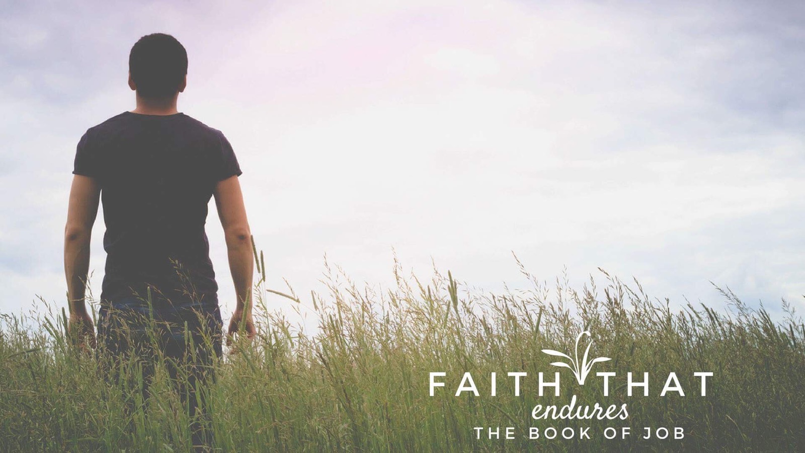 Faith that Endures: The book of Job